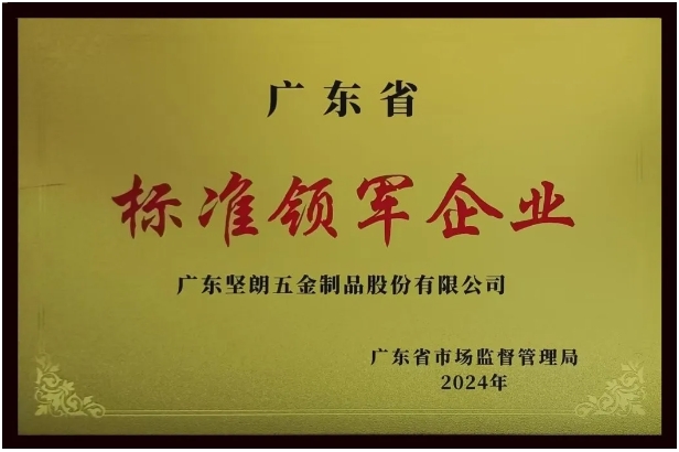 【喜报】宅男噜观看荣获“广东省标准领军企业”